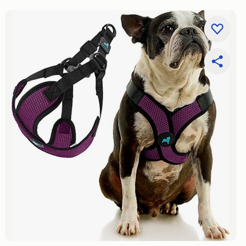 Gooby Comfort X Step In Lite Dog Harness Purple Small